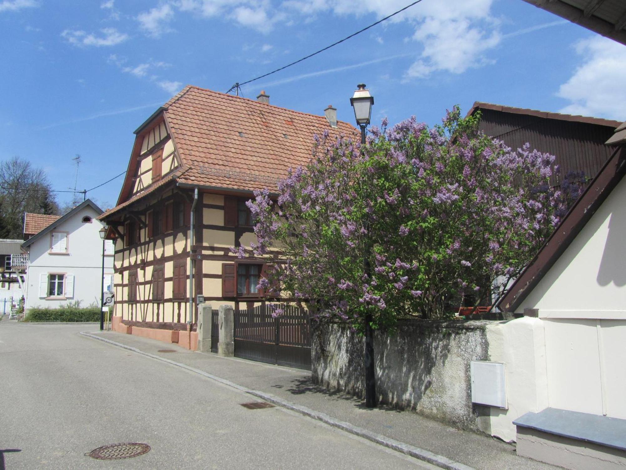 Logis Hotel Restaurant Au Lion Rouge Bartenheim Eksteriør bilde